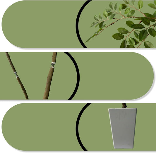 Artificial Elm Tree Faux Elm Tree 9ft Tall Fake Plant in Pot Fake Silk Tree Faux Plants Indoor
