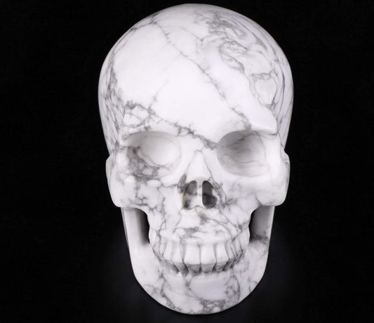 Skullis 5.0" Howlite Crystal Skull, Hand Carved Gemstone Fine Art Sculpture, Reiki Healing Stone Statue.
