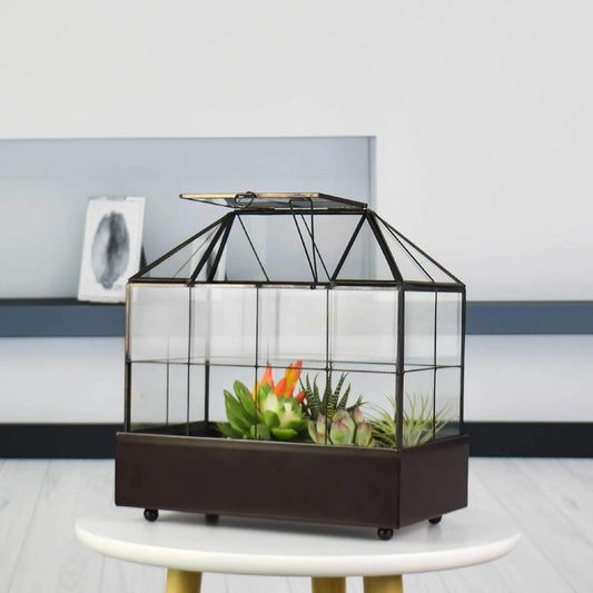 Large Tall Plant Terrarium Glass Greenhouse with Lid and Tray, Indoor Tabletop Orchid Succulent Cacti Kit 9.5'X9.8'X5.6'