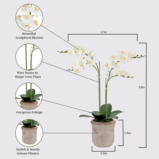 Faux White Orchid Plant, Premium Artificial Indoor Flower Display Stands 24β, Beautiful Sculptural Blooms That Lasts Forever, Grey Planter Pot Included