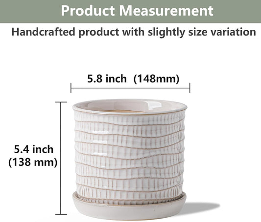 5.8 Inch Plant Pot: Ceramic Planter with Drainage Hole & Saucer - Cream White Flowerpot for Indoor & Outdoor Plants - with Separate Tray for Home & Office - Wave Embossed Design