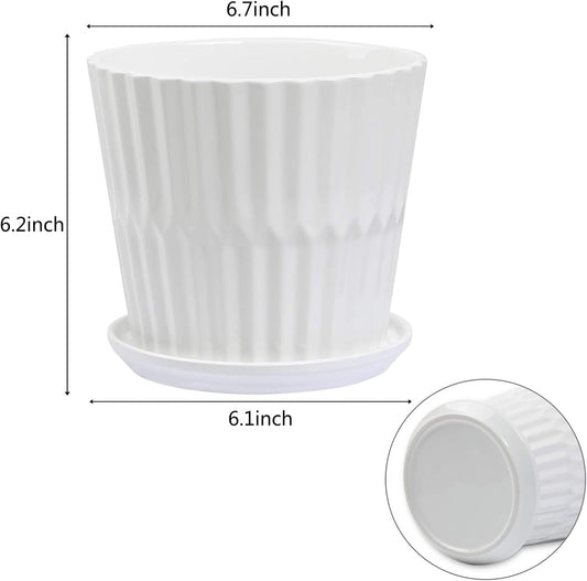 Plant Pots - 6.7 Inch Cylinder Ceramic Planters with Connected Saucer, Pots for Succuelnt and Little Snake Plants, Set of 2, White