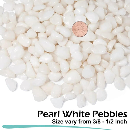 GASPRO 2.5 Pound Pebbles for Indoor Plants, 3/8" Decorative White Rocks for Vases, Planters, Succulents, Highly Polished Aquarium Gravel, Smooth Surface and Fade Resistant