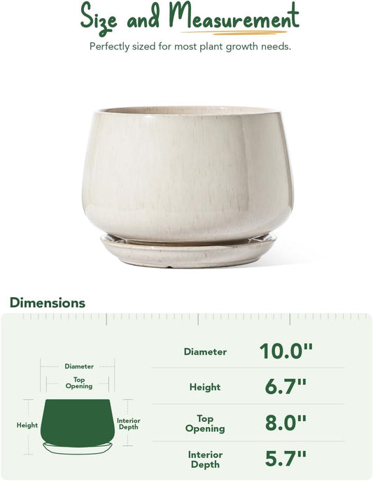 LE TAUCI Ceramic Planter, 10 Inch Plant Pot with Drainage Hole & Saucer â Durable Indoor Planter for Modern Home Decor, Reactive Glaze Beige