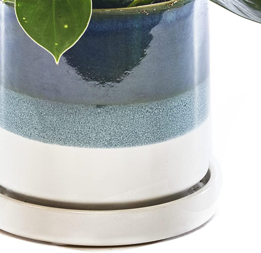 CHIVE βMinuteβ Ceramic Succulent Planters β 5β Indoor Cactus & Flower Container Pots with Drainage & Detachable Saucer β Green Blue