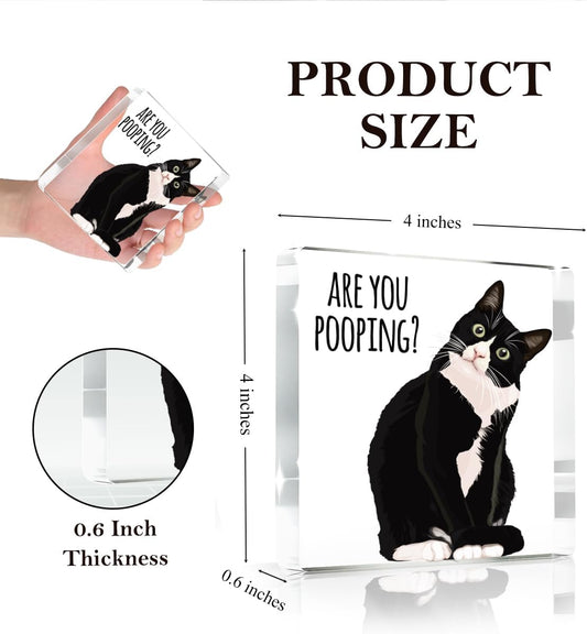 Are You Pooping Funny Sign,Black Cat Decor, Cat Bathroom Acrylic Decor,Home Decor Bathroom Creative Gift For Women Men,Funny Decorate Retro for Home Toilet