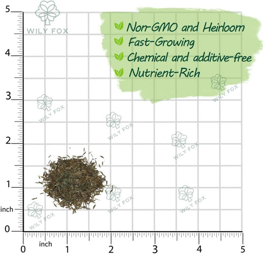 Premium Taraxacum Dandelion Seeds - 5000 Non-GMO Heirloom Purple-Stem Dandelion Seeds for Planting, Herbal Tea & Pollinators βMost Medicinal Variety (Taraxacum)