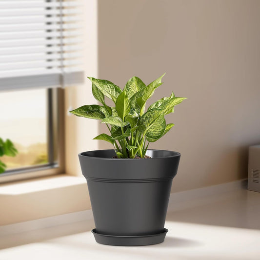 5 Inch Plastic Plant Pots with Drainage Holes and Trays â 6 Pack Small Nursery Pots for Indoor & Outdoor House Plants and Flowers, Seedling Starter Planters, Matte Black