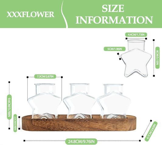 XXXFLOWER Plant Propagation Station with Wooden Stand,Air Plant Terrarium Starter Kits Star Vases for Flowers Plant Cutting Rooting Pots Indoor Hydroponic Glass Planter for Plant Lovers,3 Jars