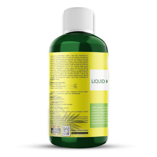 Organic Premium Kelp Seaweed Fertilizer for Jasmin - Liquid Fertilizer - Liquid Plant Food - Nutrient-Rich Soil Enhancer - Natural Plant Food for Jasmin (16 OZ)