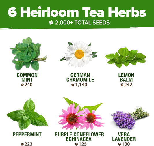 HOME GROWN Medicinal Herb Seeds Vault β 2,000+ Seeds, 6 π‘π’π‘-ππ π’ π¨π¦π Heirloom Varieties for Indoor & Outdoor Garden β Lavender, Chamomile,Mint,Lemon Balm,Peppermint,Echinacea +Garden Markers