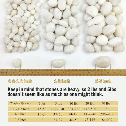 5 lbs Large White River Rocks, 2-3 inch Pebbles for Indoor Plants, Polished Decorative Stones for Planters Vase Aquarium and Outdoor Garden Landscaping Rocks