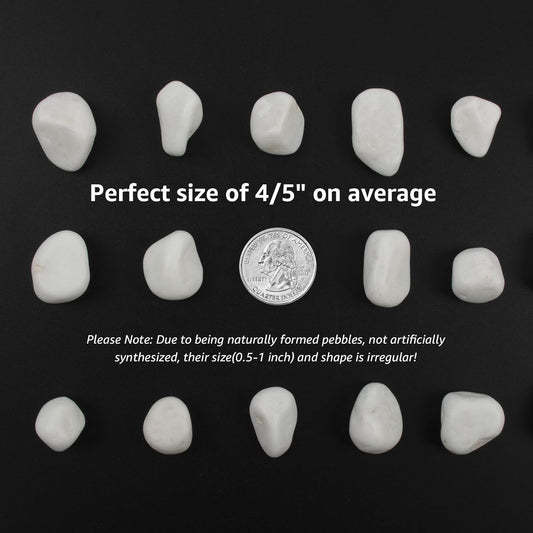 10 lbs White Polished Decorative Stones, 0.5-1 Inch Landscape Rocks for Indoor Plants, Garden, Outdoor Pathways, Vase Fillers, Pots, Glass Containers, and Craft Pro (Pure White, Weight: 10 LB)