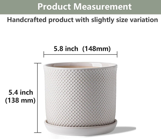 5.8 Inch Plant Pot: Ceramic Planter with Drainage Hole & Saucer for Indoor Outdoor Plants - Flowerpot with Bonded Tray for Home Office - Beaded Embossed Style, Cream White