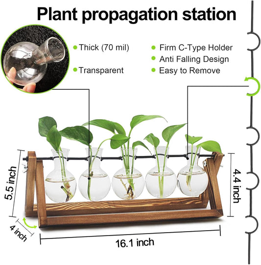 Plant Propagation Station, Propagation Vases for Plants, Unique Gardening Birthday Gifts for Women Plant Lovers Mom Best Friend - 5 Bulb Glass Vases