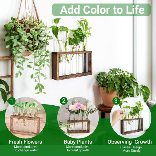 Ivolador Plant Propagation Station Terrariumin Wall Test Tube Vases Bud Tabletop Glass Wooden Stand with 5 Propagation Tubes for Propagating Hydroponic Plants Home Garden Wedding Decoration-Brown