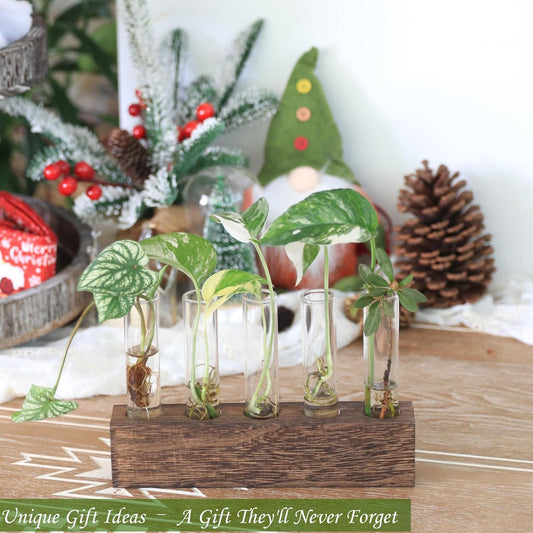 KAXYEW Desktop Glass Plant Propagation Station Test Tube Plant Terrarium in Wooden Stand for Hydroponic Plants Cutting Office Home Decoration Gift for Women (5 Test Tubes-BR)