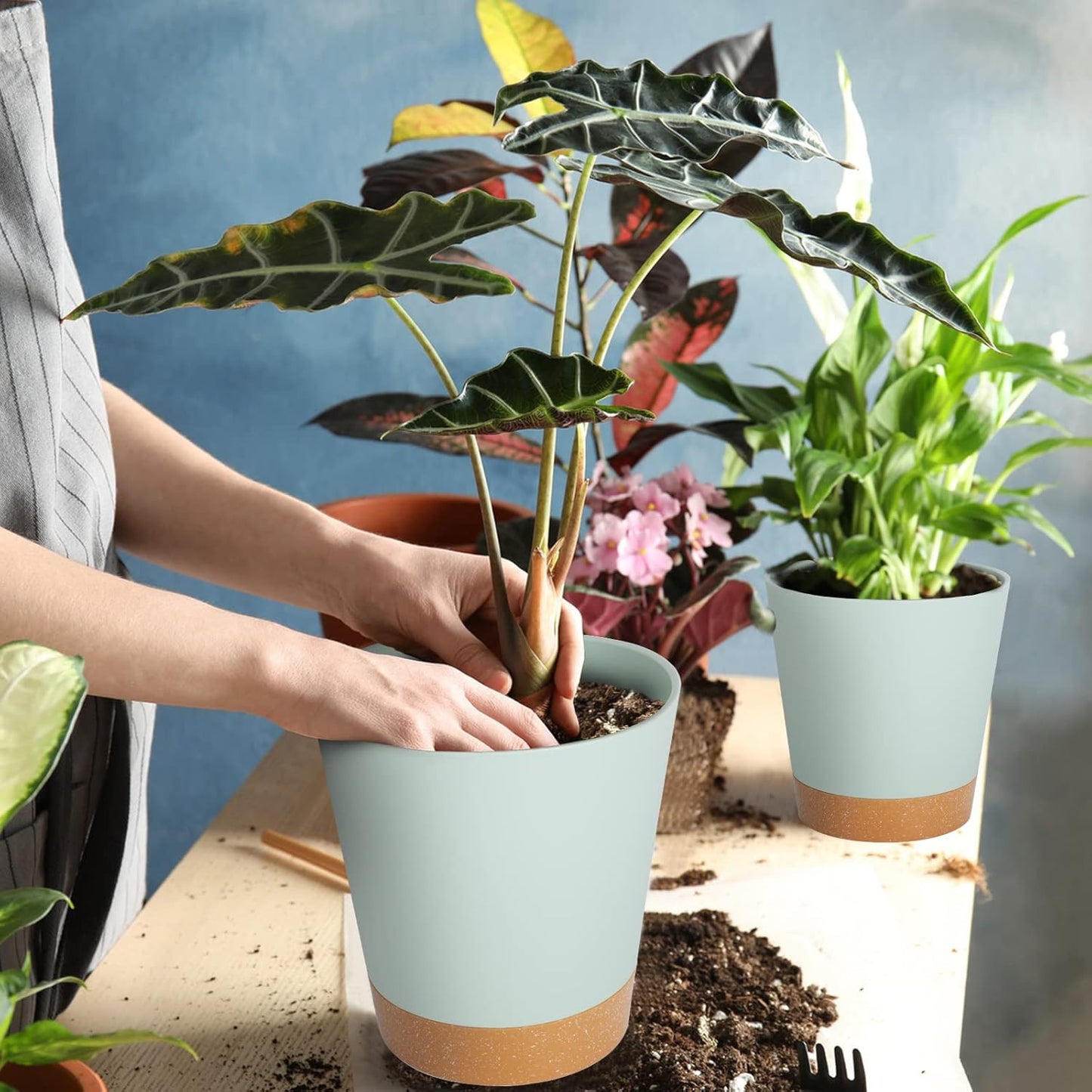 GARDIFE Plant Pots 8/7/6.5/6/5.5/5 Inch Self Watering Planters with Drainage Hole, Plastic Flower Pots, Nursery Planting Pot for All House Plants, African Violet, Flowers, and Cactus,Green