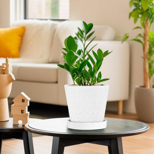 BUYMAX Plant Pots Indoor â6 inch Ceramic Flower Pot with Drainage Hole and Ceramic Tray - Gardening Home Desktop Office Windowsill Decoration Gift, Set of 2(White)