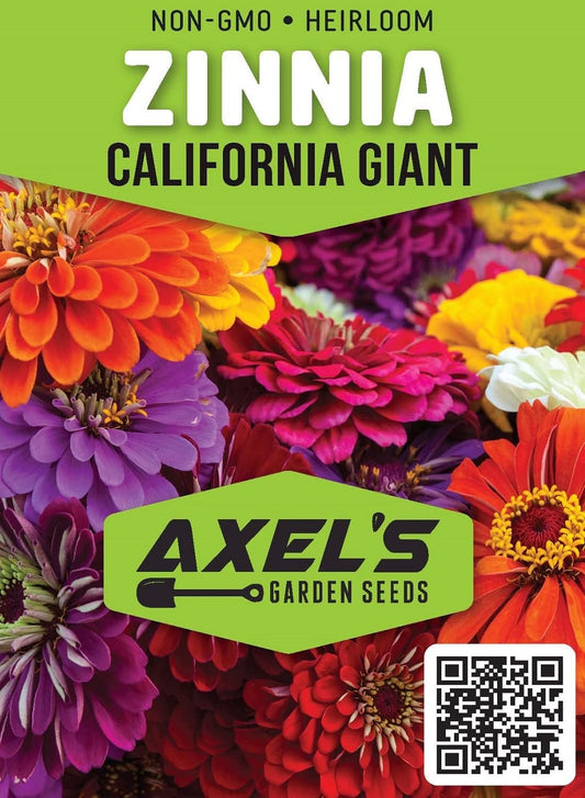 Zinnia Seeds for Planting β Non-GMO Heirloom Zinnia Flowers β Full Instruction Packets to Plant in Your Home Outdoor Garden β Gardening Gift β 50 California Giant Zinnia Seeds (2 Packets)
