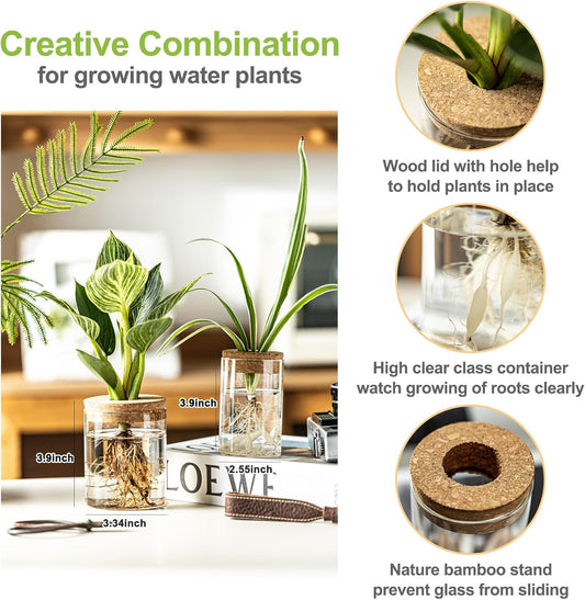 Glass Plant Propagation Stations for Plants – Set of 4(4 Large & 4 Small) Hydroponic Vases for Plant Cuttings,Flower Arrangements, Home & Office Decor–Desktop Vases for Living Room, Bedroom (8)