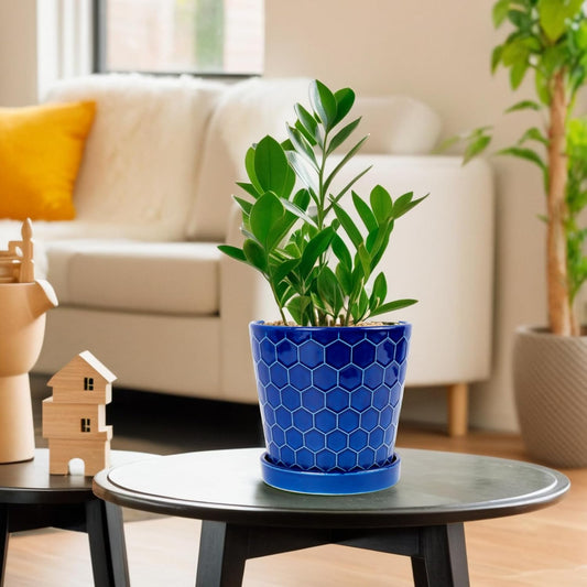 BUYMAX Plant Pots Indoor â6 inch Ceramic Flower Pot with Drainage Hole and Ceramic Tray - Gardening Home Desktop Office Windowsill Decoration Gift, Set of 2(Royal Blue)