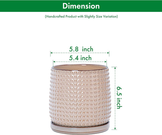 D'vine Dev Set of 2 Ceramic Plants Pots, 6 Inch Beaded Stoneware Flower Pot for Plants with Drainage Hole and Saucer, Light Brown, 27-E-X-4