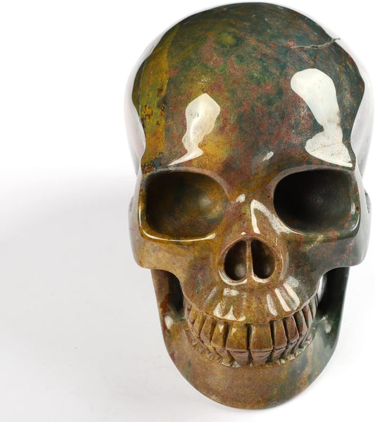 Skullis 5.0” Indian Agate Crystal Skull, Hand Carved Gemstone Fine Art Sculpture, Reiki Healing Stone Statue.361 Z8