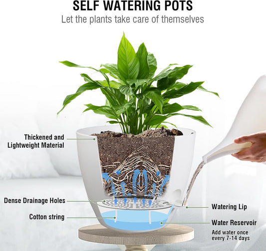 10 inch Self Watering Hanging Planters, 2 Pack Hanging Flower Pots for Indoor Outdoor Plants, Hanging Baskets with Drainage Holes & 2 Kinds of Plant Hangers for Garden Home Decor, White