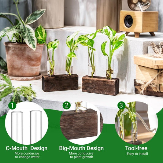 Ivolador Plant Propagation Stations 4 Test Tube Plants Terrariums in Wooden Stand Gifts for Plant Lovers for Hydroponic Plants Office Home Decor Hydroponic Vase Gift Box 2 Sets