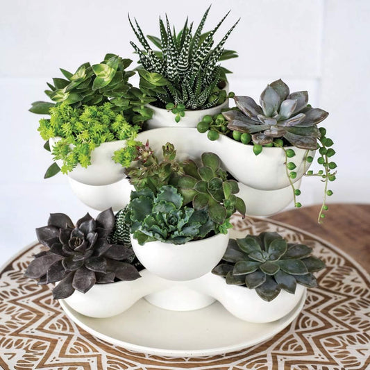 The HC Companies 8 Inch Round Stacking Decorative Indoor Pixie Succulent Flower Planter Pot with 3 Planting Levels, Artisan Taupe
