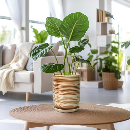 8 Inch Plant Pot, Ceramic Planter for Outdoor Plants, Large Plant Pot Indoor with Drainage Hole and Saucer, Modern Flower Pot for Home Garden Decor Yellow