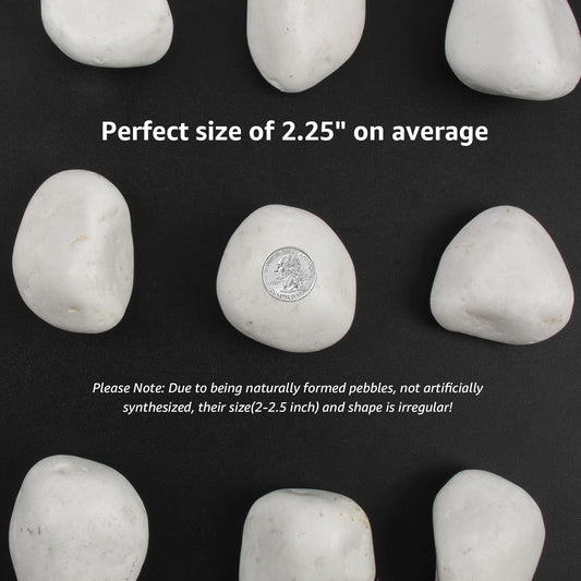 40 lbs White Polished Decorative Stones, 2-3 Inch Polished Rocks, Perfect for Outdoor Gardens, Pathways, Potted Plants, Vase Fillers, and Home Decor (Pure White, Weight: 40 LB)