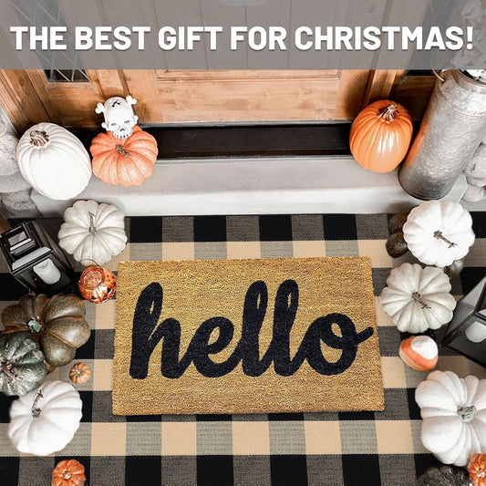 IOHOUZE Buffalo Plaid Checkered Rug 3x5 Ft Front Door Mats, Washable Area Rugs for Front Porch, Welcome Mats Indoor Outdoor, Entryway Rug for Entryway, Home Entrance, Tan Black