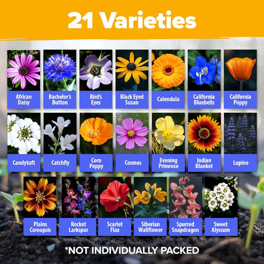 HOME GROWN π¨π¦π π£π₯ππ ππ¨π Wildflower Seeds Mix - 49,100+ (2oz) Bulk Mix, 21 Varieties Wild Flower - Bee and Butterfly Garden Pack - Native Annual Flowers for Planting for Your Garden