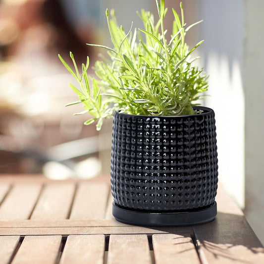 D'vine Dev 4 Inch Ceramic Beaded Stoneware Planter Pot - Flower Pot with Drainage Holes and Saucers for Indoor Succulent Plants or Flowers, Glossy Black, 27-C-Z-2