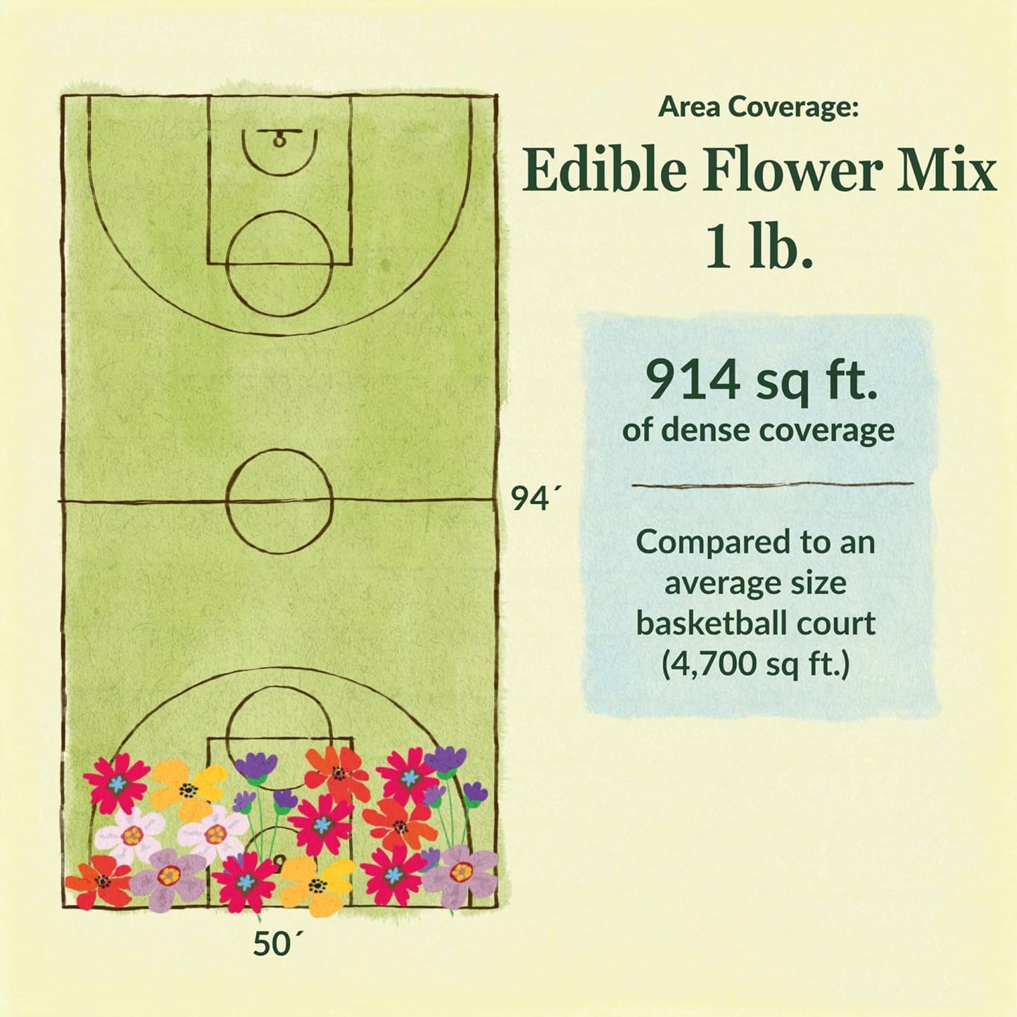 Ferry-Morse Edible Flower Mix Bulk Flower Seeds, 1lb