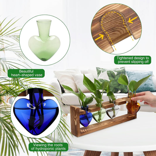 Plant Propagation Stations Heart Plant Terrarium Kit Gift for Women Plant Lover Glass Vases