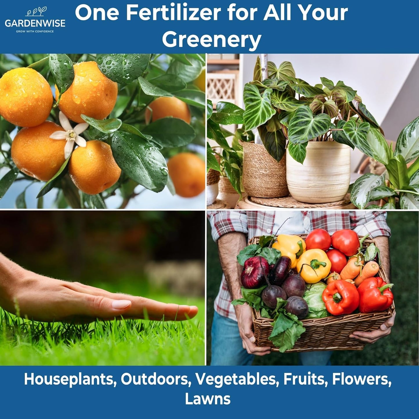 20-20-20 Water-Soluble Fertilizer β Powder for Liquid Plant Food for Indoor & Outdoor Plants, Orchids, Vegetables, Lawns, Flowers β 20 20 20 Fertilizer 3 Quarts (6 lbs)