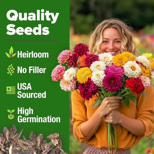 HOME GROWN π¨π¦π π£π₯ππ ππ¨π Zinnia Dahlia Seeds Pack for 2025 β 524 π‘π’π‘-ππ π’ Flower Seeds | Vibrant Zinnia Elegans for Pollinator Gardens, Borders & Containers | Easy-to-Grow Outdoor Blooms