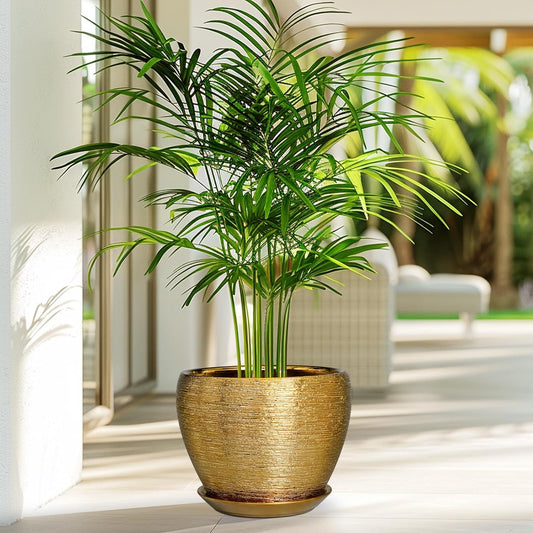 Ceramic Plant Pot 8 Inch - Planter for Outdoor Plants Indoor Plant Pot with Drainage Hole and Saucer Decorative Round Planter Modern Flower Pot for House Decor Gold