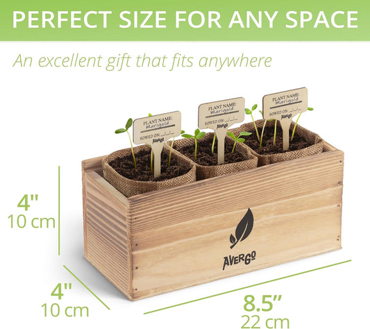Sunflower, Marigold & Zinnia Flower Seeds Growing Kit โ Complete Indoor & Outdoor Kit with Seeds for Planting, Planters, Soil, Tools, Instructions โ Ideal for Gift Giving