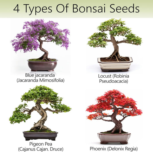 Bonsai Tree Kit β 4X Unique Japanese Bonzai Trees | Complete Indoor Starter Kit for Growing Bonsai Plants with Tools & Planters β Gardening Gifts for Women & Men