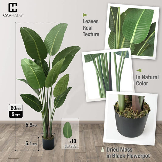 CAPHAUS 5 Feet Artificial Bird of Paradise, 60 Inch with 10 Trunks, Premium UV Resistant Lifelike Fake Plant in Pot with Dried Moss for Office, Indoor/Outdoor Use & Tropical Home Décor