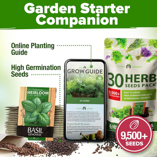 HOME GROWN 30 Herb Seeds for Planting 9,500+ Non-GMO Heirloom Seeds | Extra Large Variety Pack Herb Kit โ Indoor Outdoor & Hydroponic | Culinary Seed Set | Grow Your Own Herbs | Gardening Gift