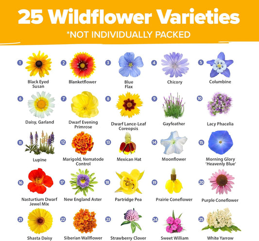 HOME GROWN π¨π¦π π£π₯ππ ππ¨π Wildflower Seeds - 44,000 Non GMO USA Perennial Seeds (2oz) 19 Varieties for Butterfly & Pollinator Garden - Wild Flower Seed Mix for Full Sun & Shade