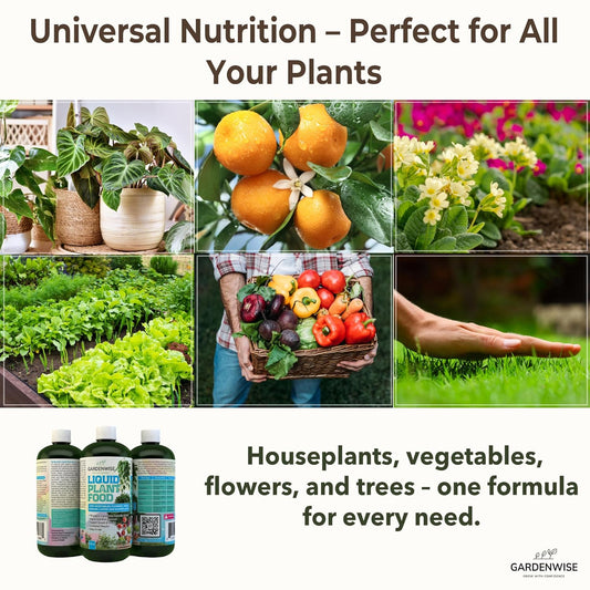 Organic Liquid Plant Food for Indoor Houseplants โ All Purpose Fertilizer for Potted Plants, Vegetables, Succulents, Orchids, Roses โ Miracle Growth with Mycorrhizae (32 oz)