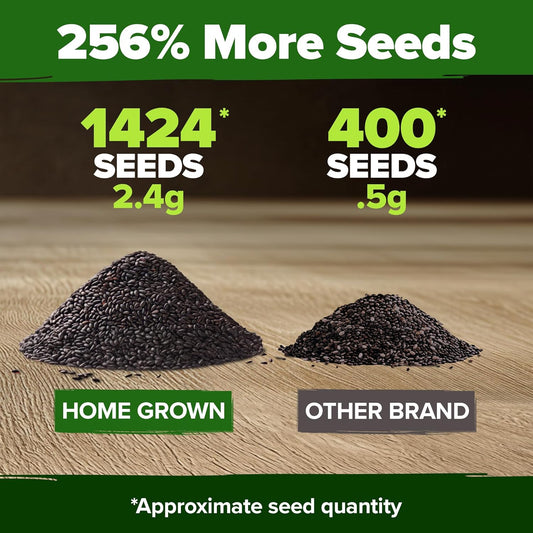 HOME GROWN π¨π¦π π£π₯ππ ππ¨π Italian Basil Seeds Bulk Pack 1,424 Sweet Large Leaf Basil Seeds for Planting π‘π’π‘-ππ π’ and Heirloom Herb Seeds for Planting Indoors or Outdoors (Ocimum basilicum)
