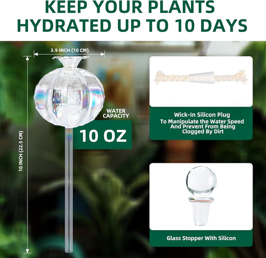 10 oz Large Top Fill Cactus Plant Watering Globes, Light Iridescent Glass Water Bulbs, Slow Release Self Watering Devices, Vacation Plant Watering System Self Watering Planter Insert, 4 Pack
