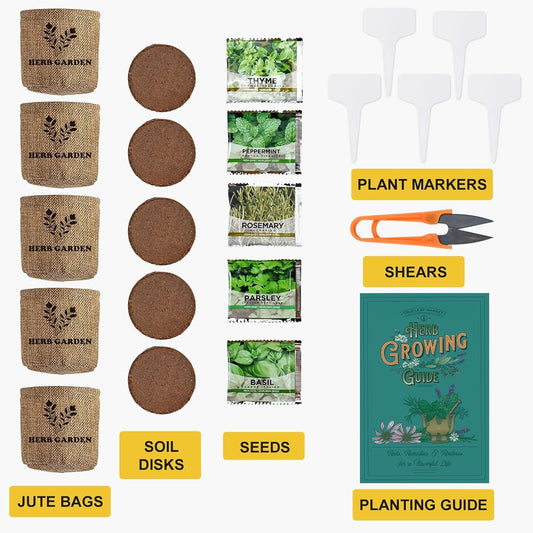 Indoor Herb Garden Starter Kit, 5 Non-GMO Herb Seeds - Basil, Parsley, Rosemary, Thyme, and Mint with Complete Planting Set for Kitchen Herb Garden DIY